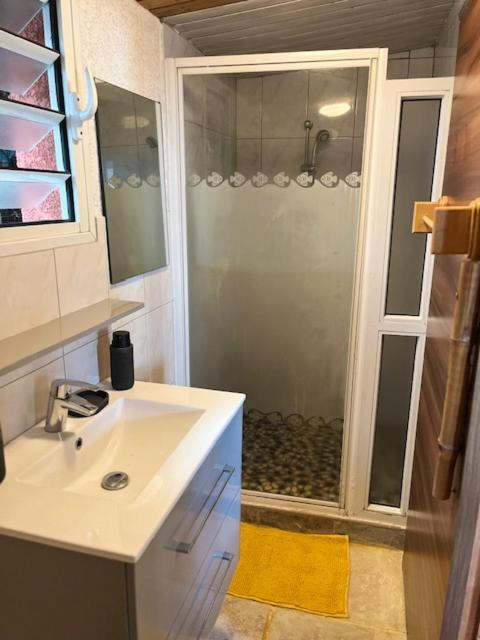 La Bananeraie Apt 35M2 Piscine Jardin Tropical Parking Prive Saint-Leu Exterior foto