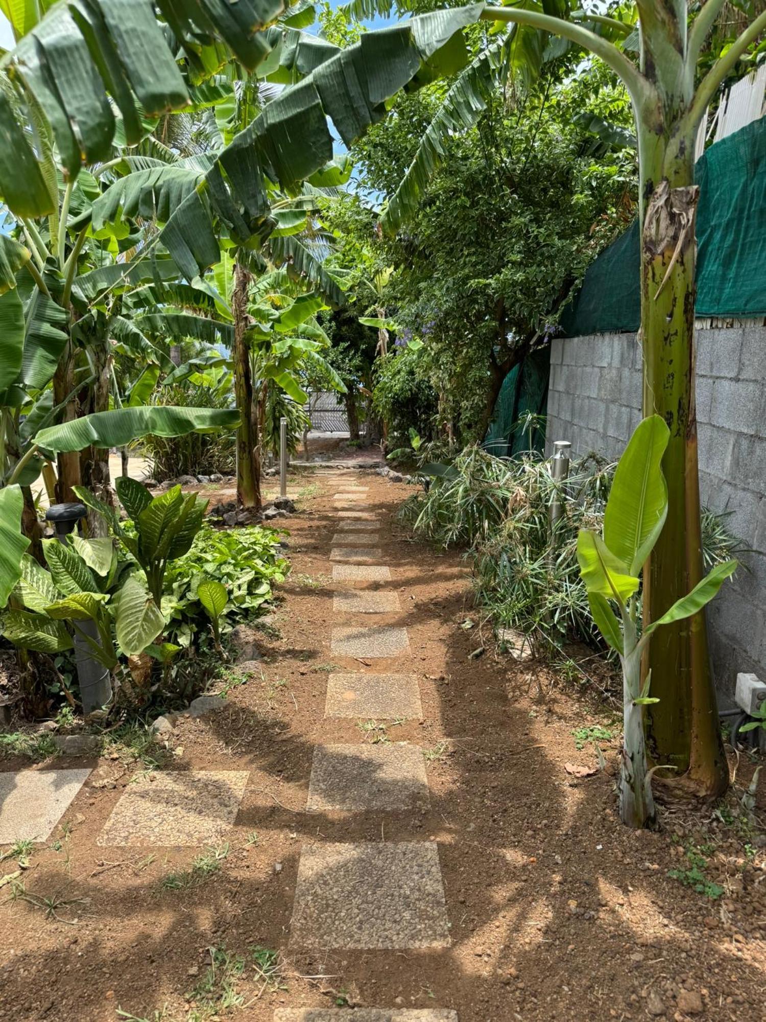 La Bananeraie Apt 35M2 Piscine Jardin Tropical Parking Prive Saint-Leu Exterior foto