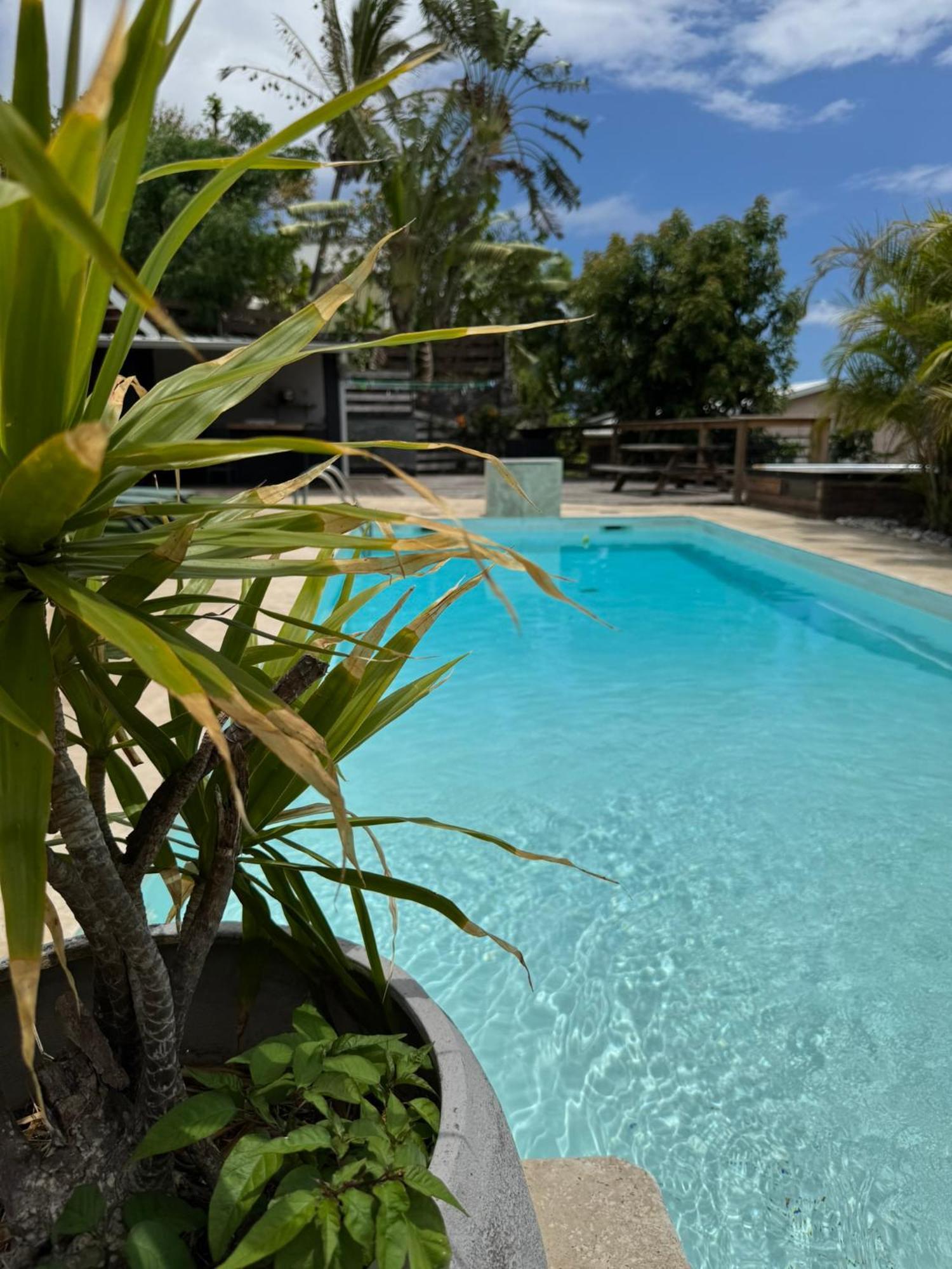 La Bananeraie Apt 35M2 Piscine Jardin Tropical Parking Prive Saint-Leu Exterior foto