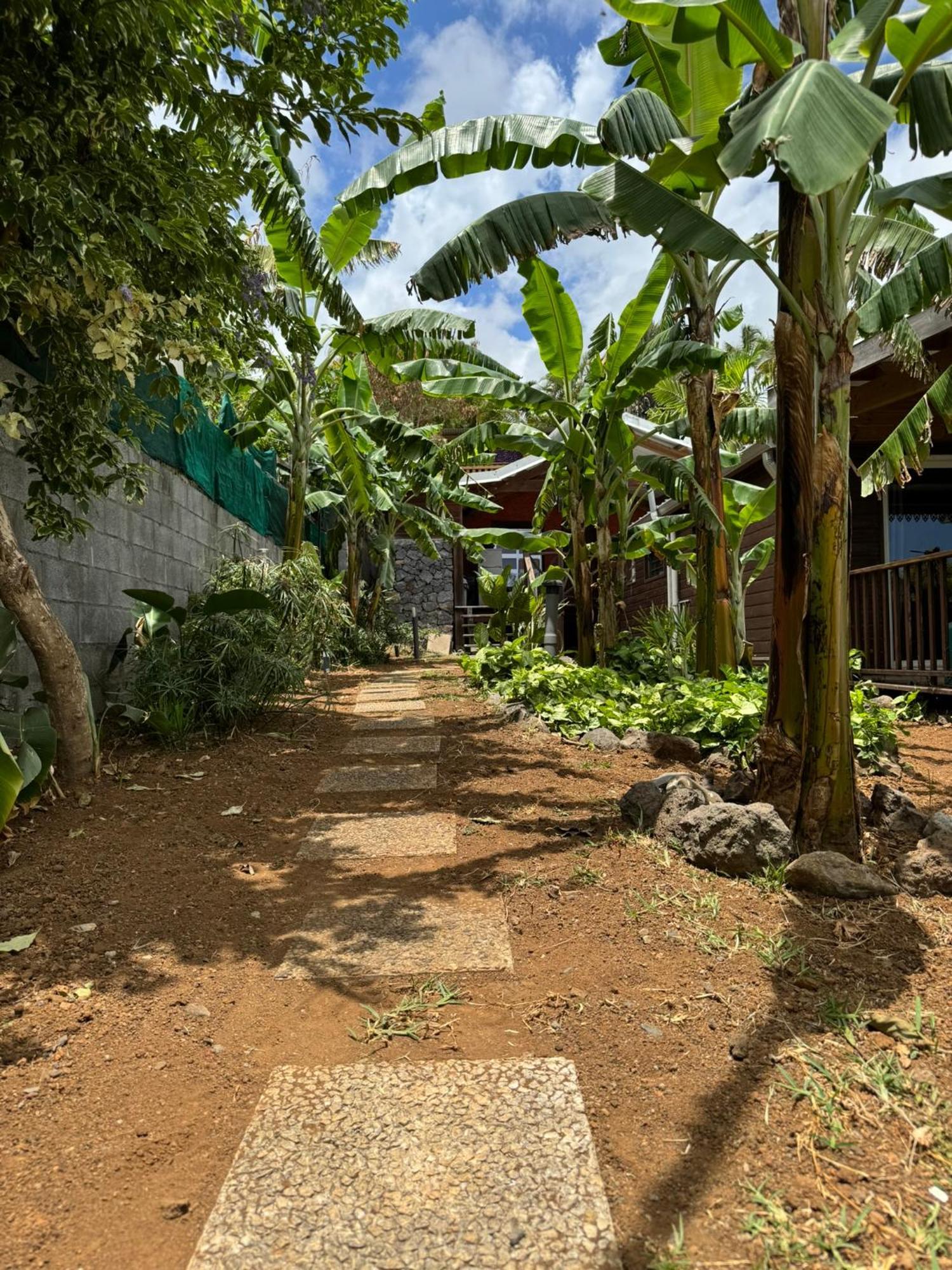 La Bananeraie Apt 35M2 Piscine Jardin Tropical Parking Prive Saint-Leu Exterior foto